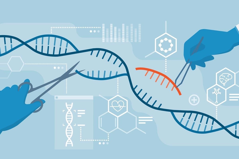 crispr_cas9_hoat_dong_nhu_the_nao_va_ung_dung_lam_sang_hien_nay_4_d922ca6e03.jpg