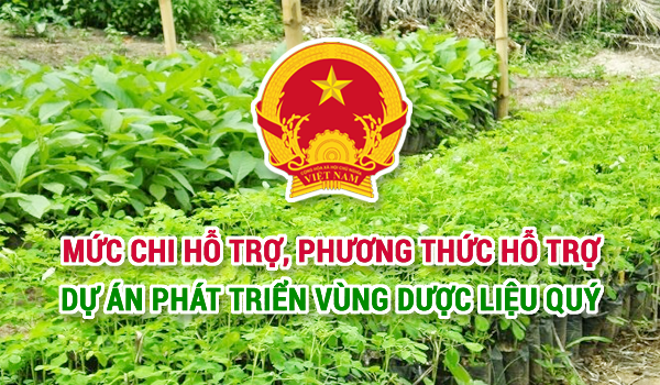 DỰ ÁN PHÁT TRIỂN VÙNG DƯỢC LIỆU QUÝ.png