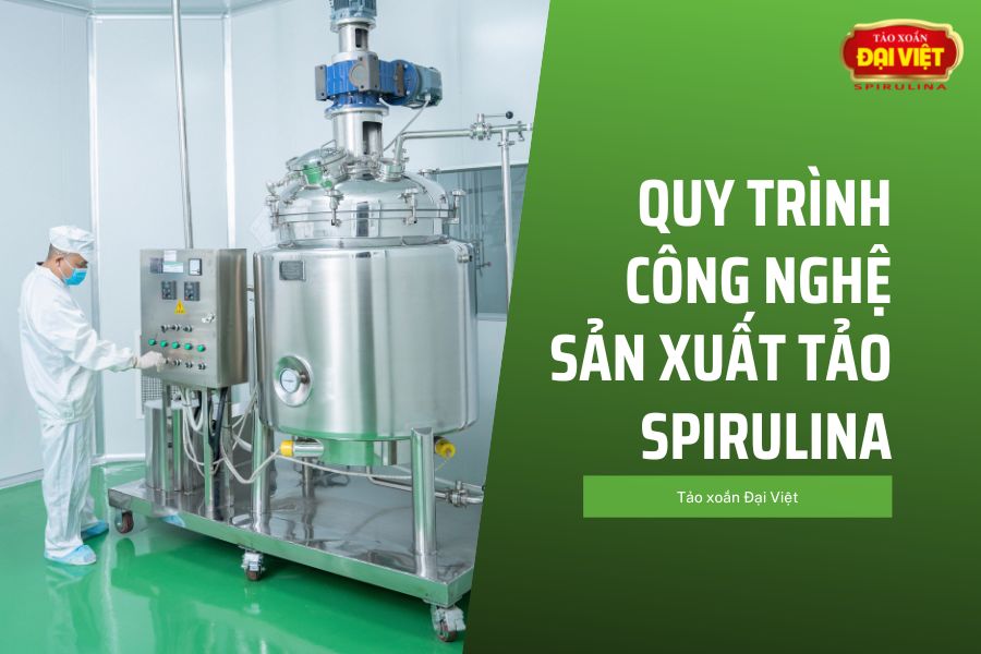 taoxoandaiviet.vn
