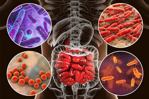 MRM Health - Liệu pháp dựa trên vi sinh vật